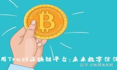 理解和应用Trust区块链平台：未来数字信任的新基