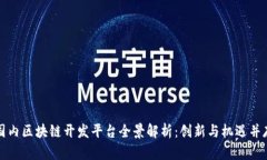 国内区块链开发平台全景解析：创新与机遇并存