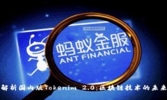 : 深入解析国内版Tokenim 2.0：区块链技术的未来与
