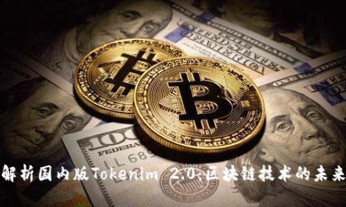 : 深入解析国内版Tokenim 2.0：区块链技术的未来与应用