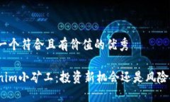 思考一个符合且有价值的优秀Tokenim小矿工：投资
