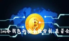 Tokenim冷钱包的安全性分析：是否会被盗?