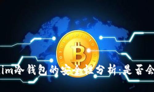 Tokenim冷钱包的安全性分析：是否会被盗?